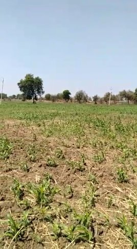An image of land