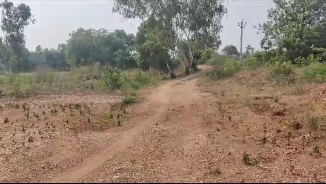 An image of land