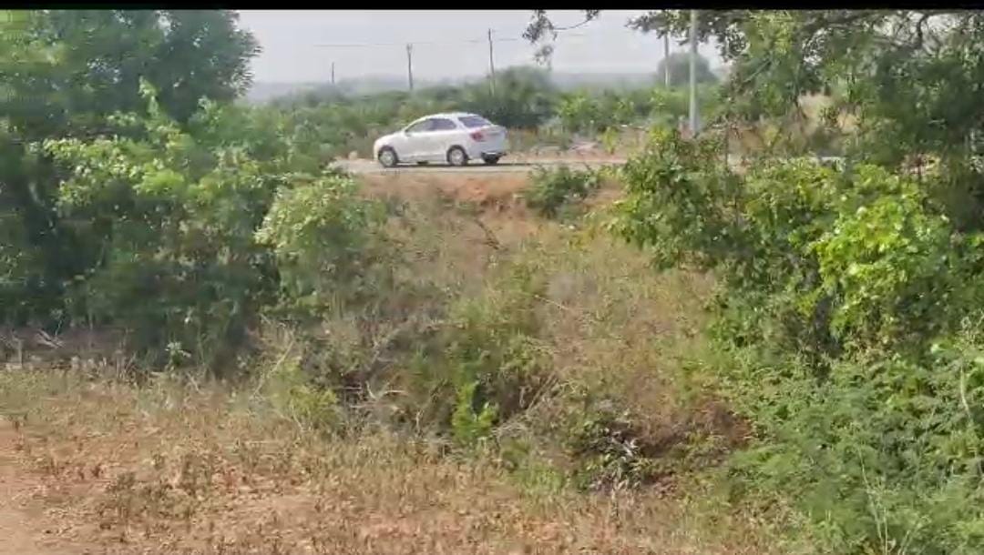 An image of land