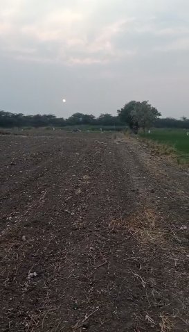 An image of land