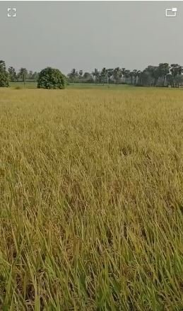 An image of land
