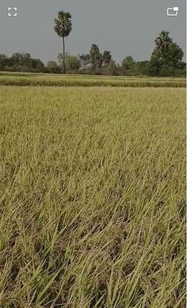 An image of land