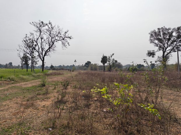 An image of land