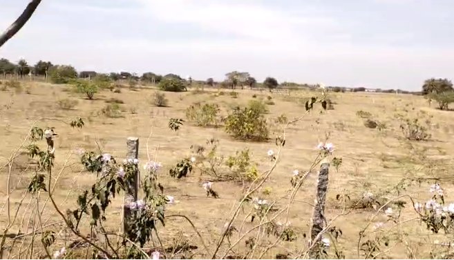 An image of land