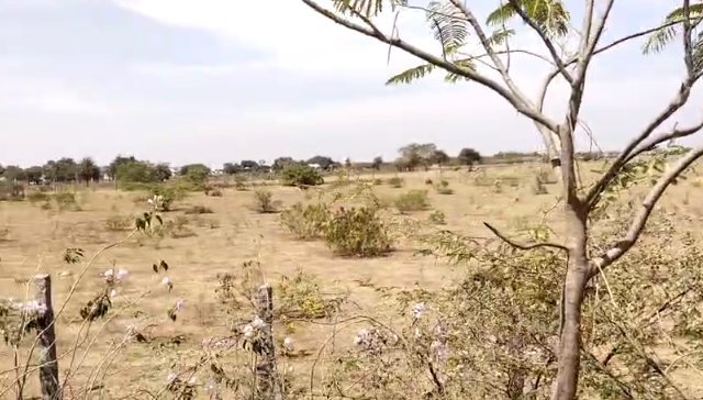 An image of land