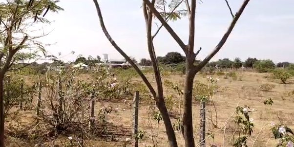 An image of land