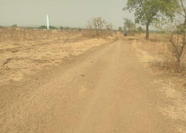 An image of land