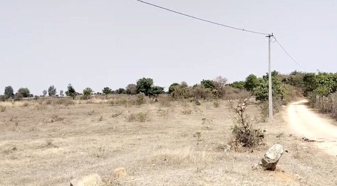 An image of land