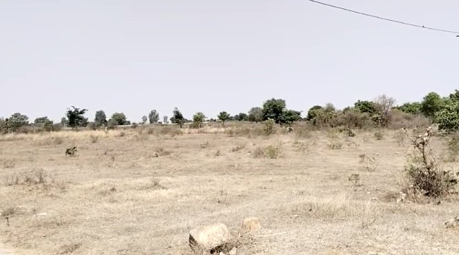 An image of land