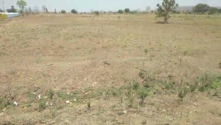 An image of land