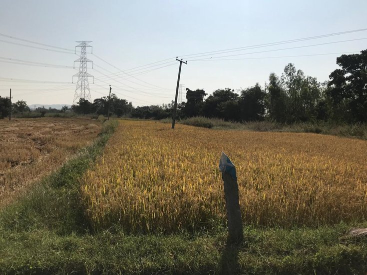 An image of land