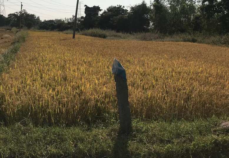 An image of land