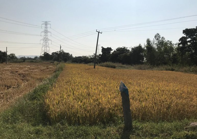 An image of land