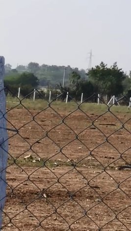An image of land