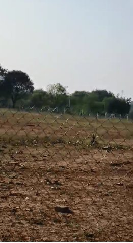 An image of land