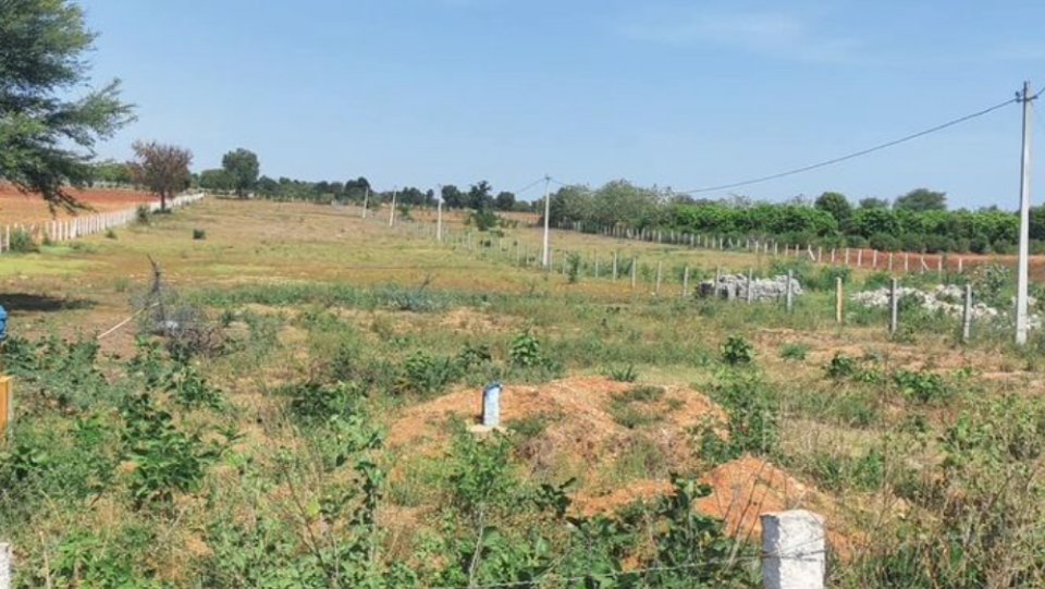 An image of land