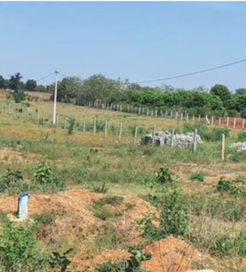 An image of land
