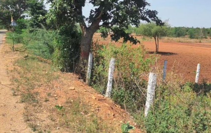 An image of land