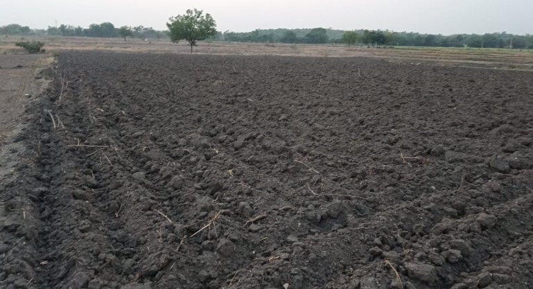 An image of land
