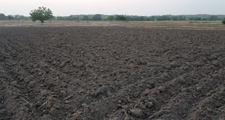 An image of land