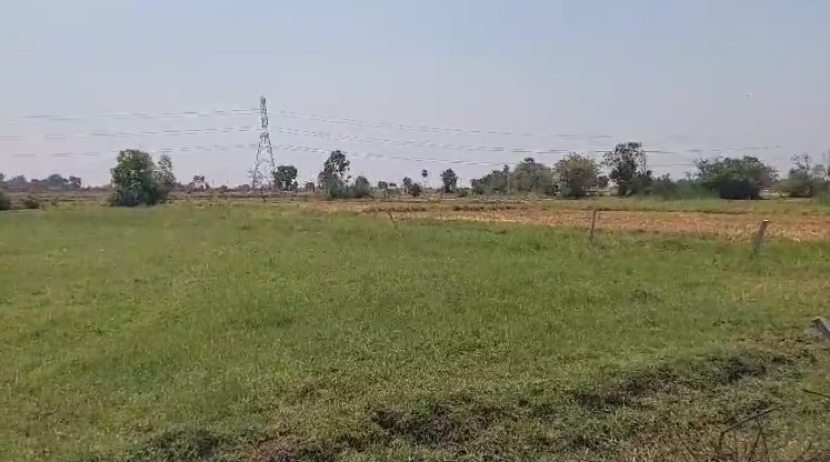 An image of land