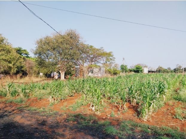 An image of land