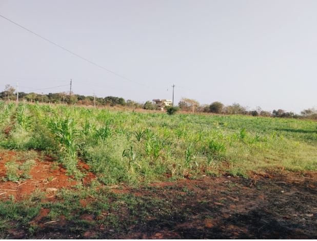 An image of land