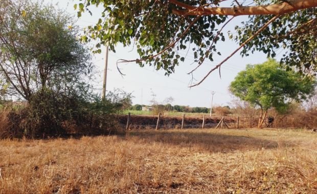 An image of land