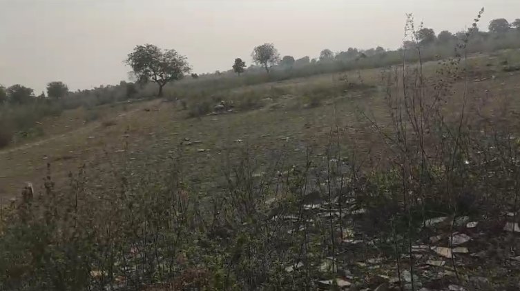 An image of land