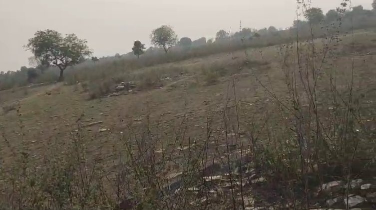An image of land