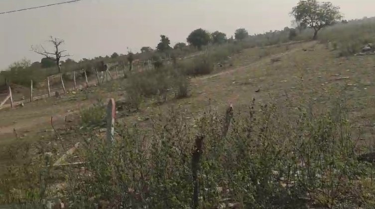 An image of land