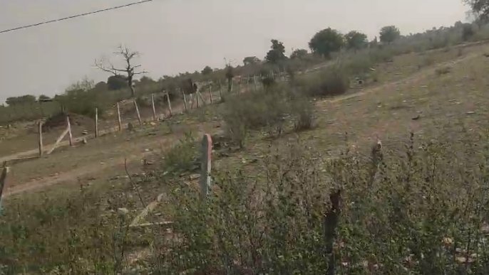 An image of land
