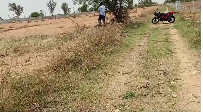 An image of land