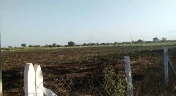 An image of land