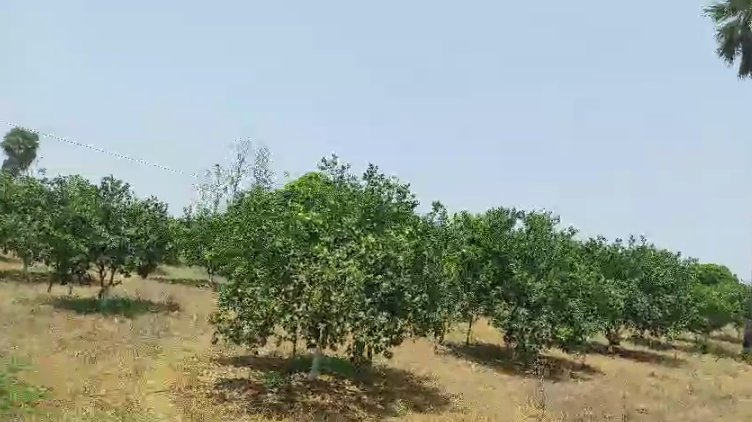 An image of land