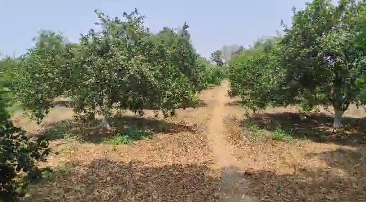 An image of land