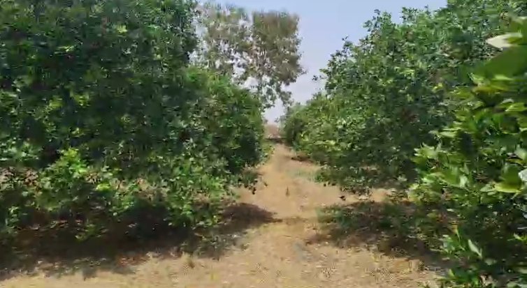 An image of land