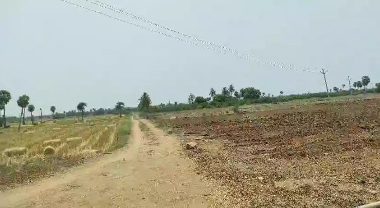 An image of land