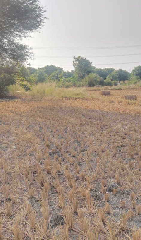 An image of land