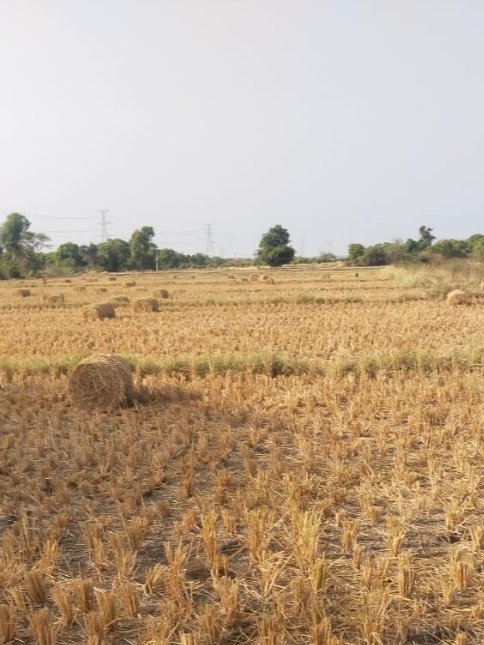 An image of land