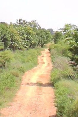 An image of land