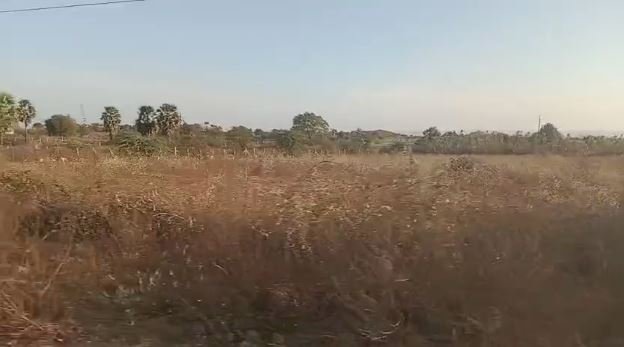 An image of land