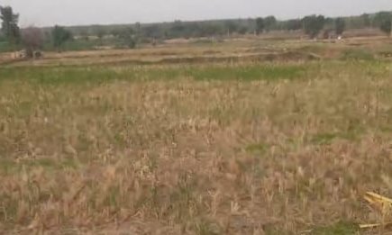 An image of land