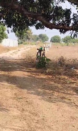 An image of land