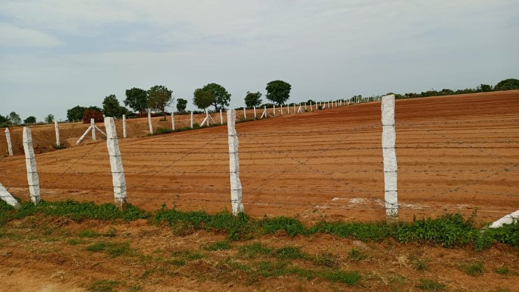 An image of land