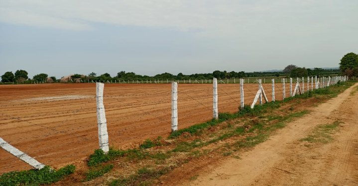 An image of land