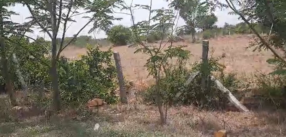 An image of land