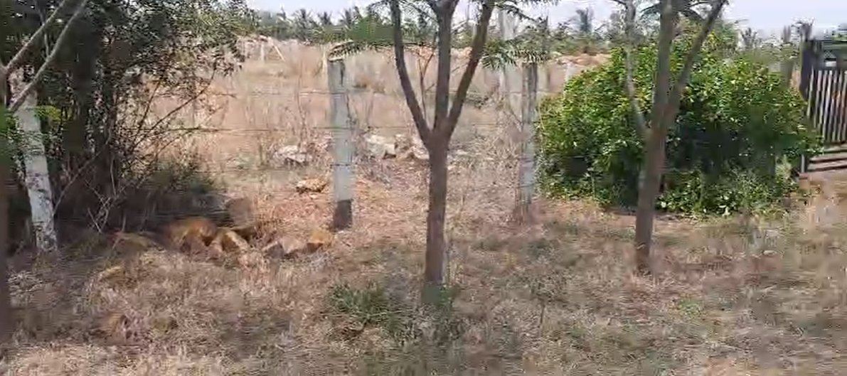 An image of land