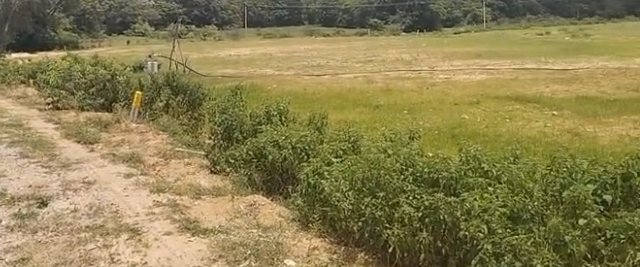 An image of land