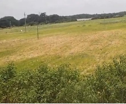 An image of land